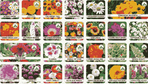 Flower Seeds (Pack of 100) (Plant Growth Supplement Free)